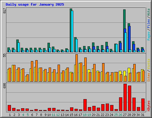 Daily usage for January 2025