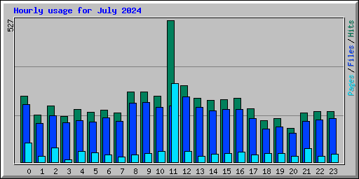 Hourly usage for July 2024