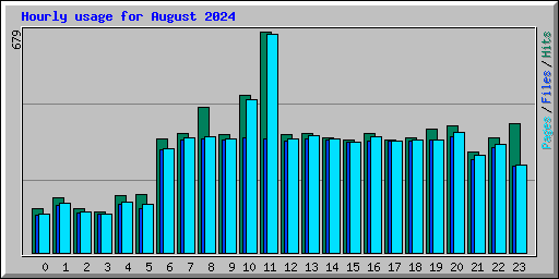 Hourly usage for August 2024