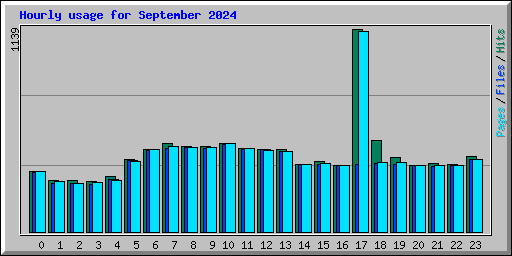 Hourly usage for September 2024