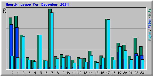 Hourly usage for December 2024