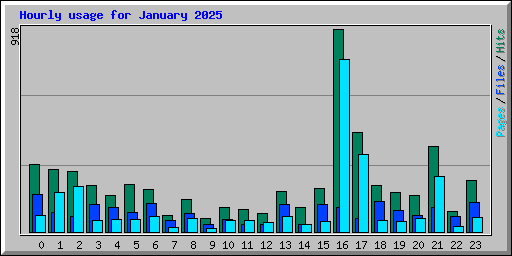 Hourly usage for January 2025