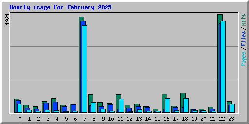 Hourly usage for February 2025