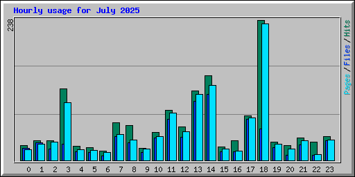 Hourly usage for July 2025