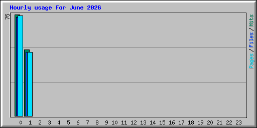 Hourly usage for June 2026